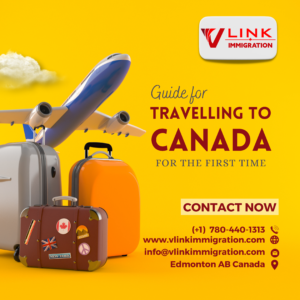 VLink Immigration, IRCC Backlog 2024